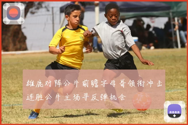 雄鹿对阵公牛前瞻字母哥领衔冲击连胜公牛主场寻反弹机会