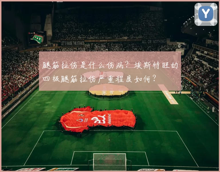 腿筋拉伤是什么伤病？埃斯特旺的四级腿筋拉伤严重程度如何？