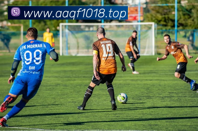 开云「中国」Kaiyun·官方网站 - 国内一流技术服务商平台生态图