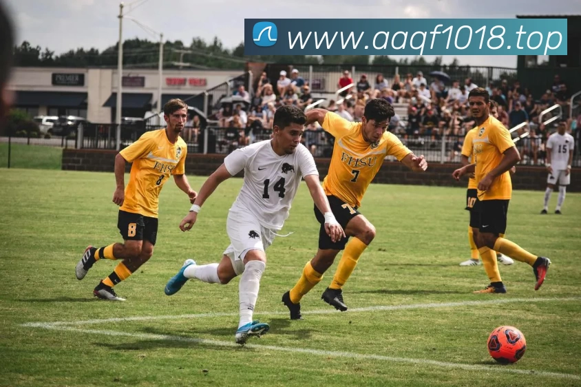 开云「中国」Kaiyun·官方网站 - 国内一流技术服务商发展历程