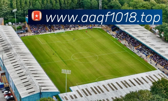 多媒体互动体验