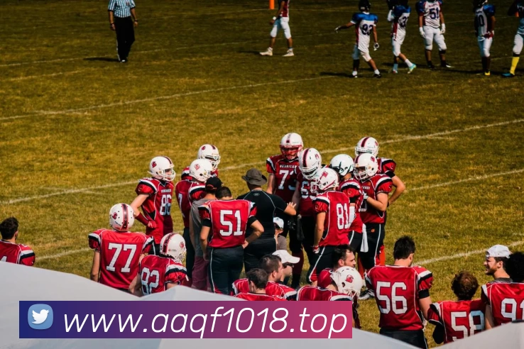 开云「中国」Kaiyun·官方网站 - 国内一流技术服务商APP 体育赛事宣传图