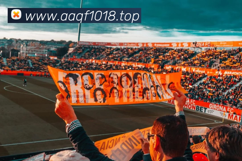 开云「中国」Kaiyun·官方网站 - 国内一流技术服务商APP 封面图